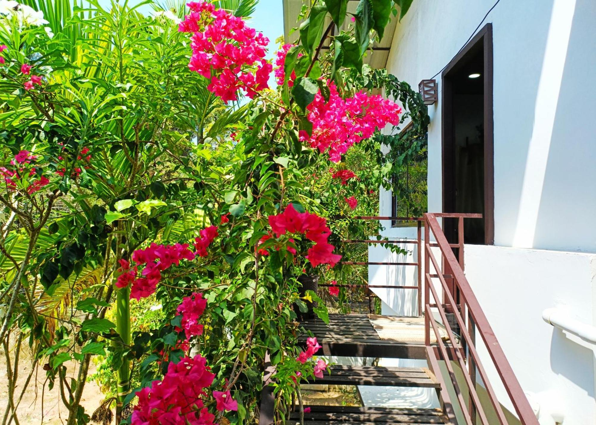 Alma Homestay Mararikulam Luaran gambar